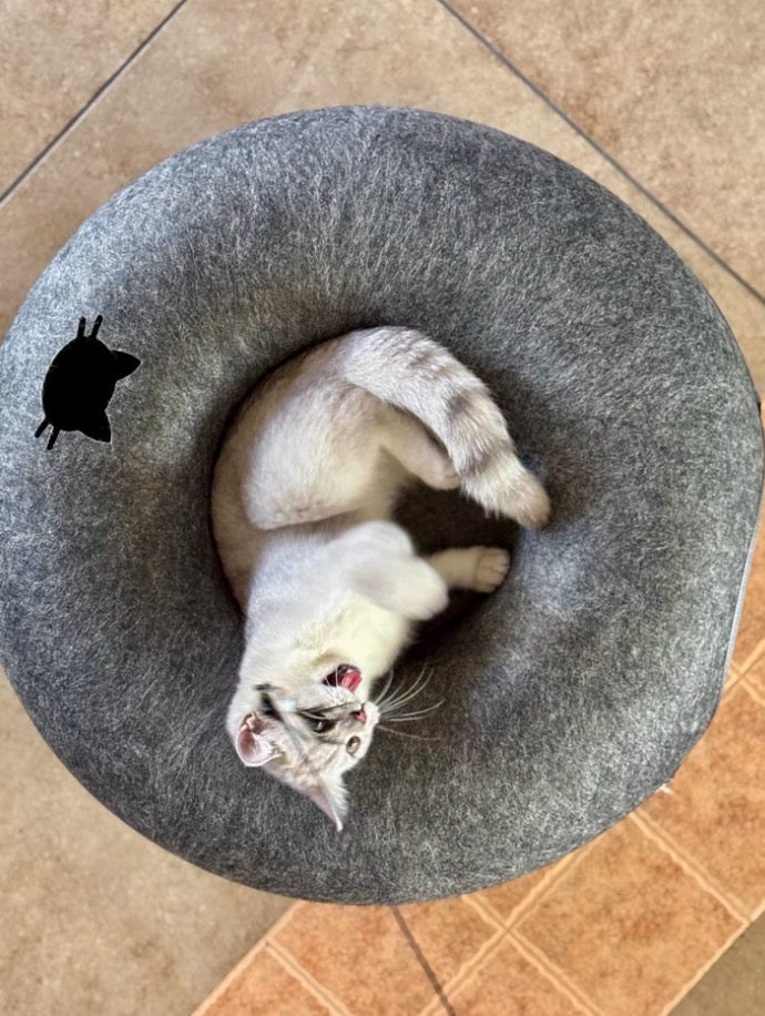 Karen Lewis's review