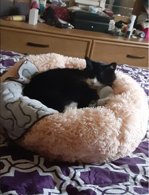 Michael Marvin's Review