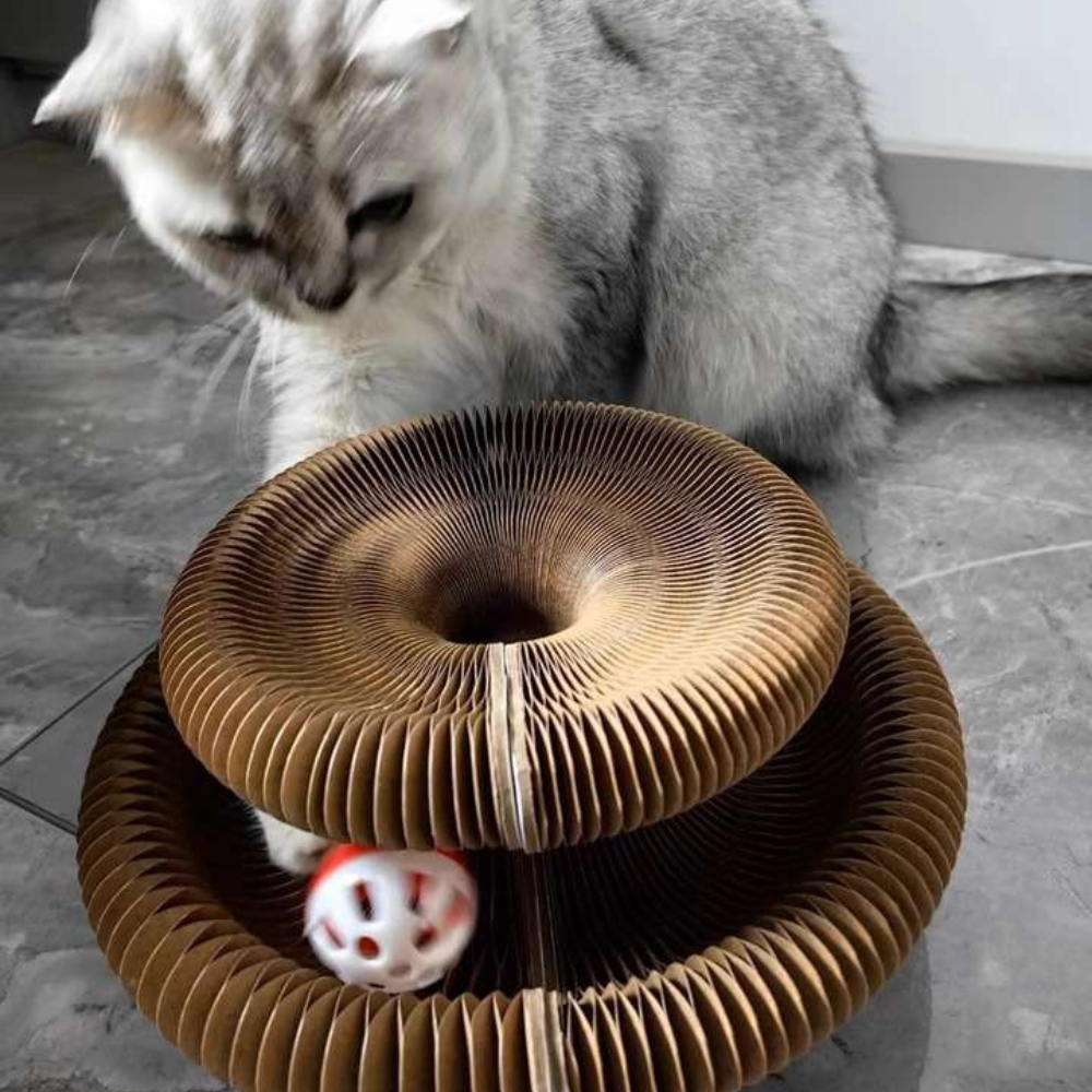 Crystal Pham's Review