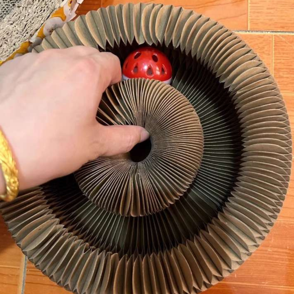 Elliot Mosher's Review