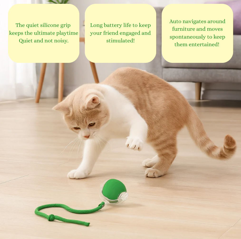 NuvaPaw Smart Rolling Cat Toy – Interactive Motion Ball for Cats