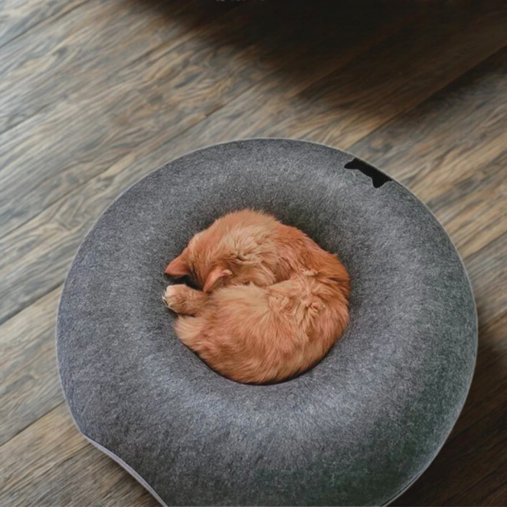 Cozy Cat Tunnel Bed & Lounger – Felt Hideaway for Small to Medium Cats