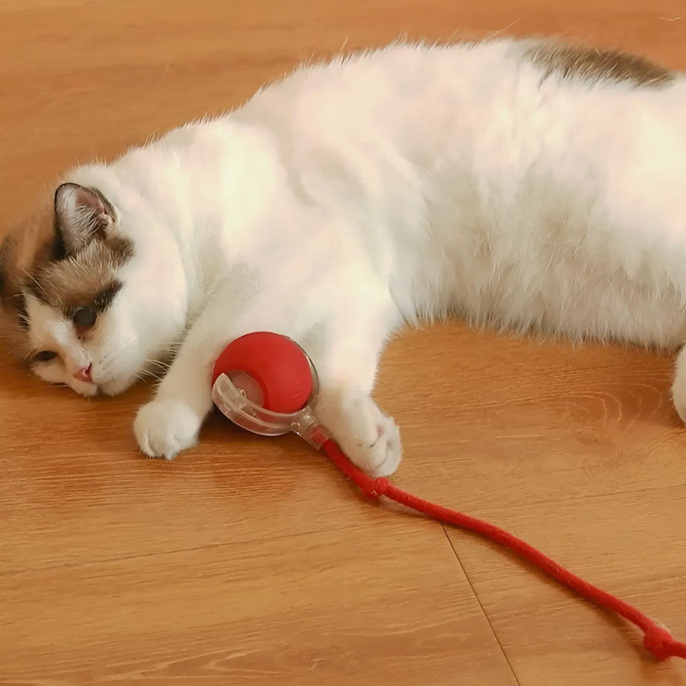 NuvaPaw Smart Rolling Cat Toy – Interactive Motion Ball for Cats