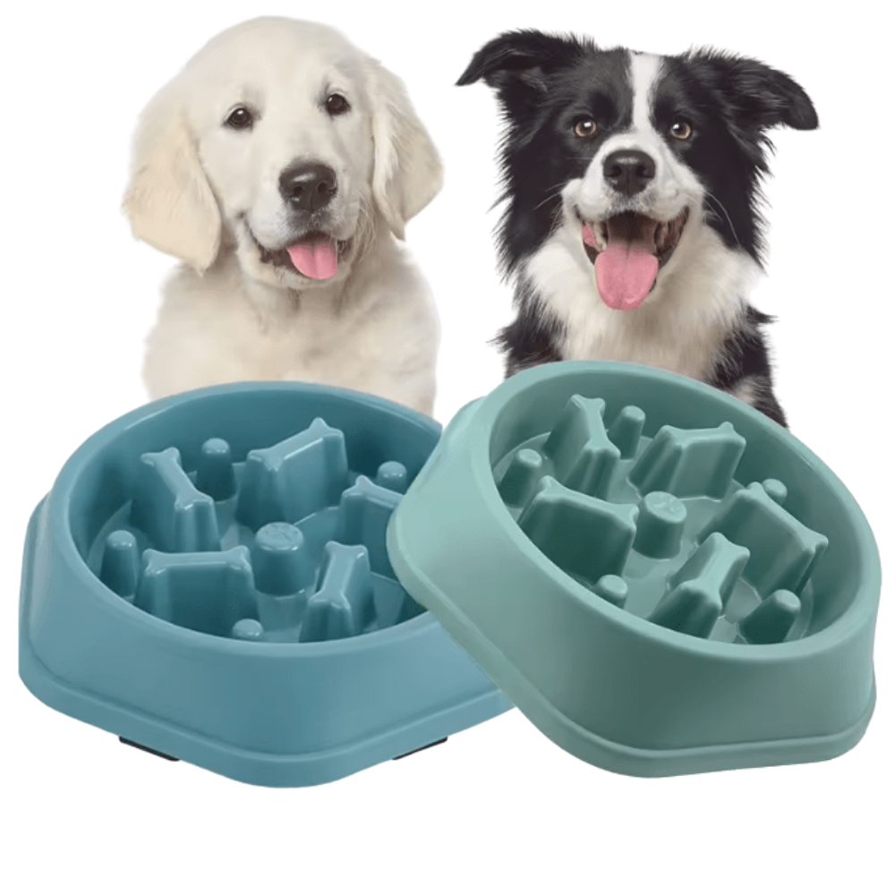 Nuvapaw Slow Feeder Dog Bowl – Anti-Choking Puzzle Bowl for Fast Eaters