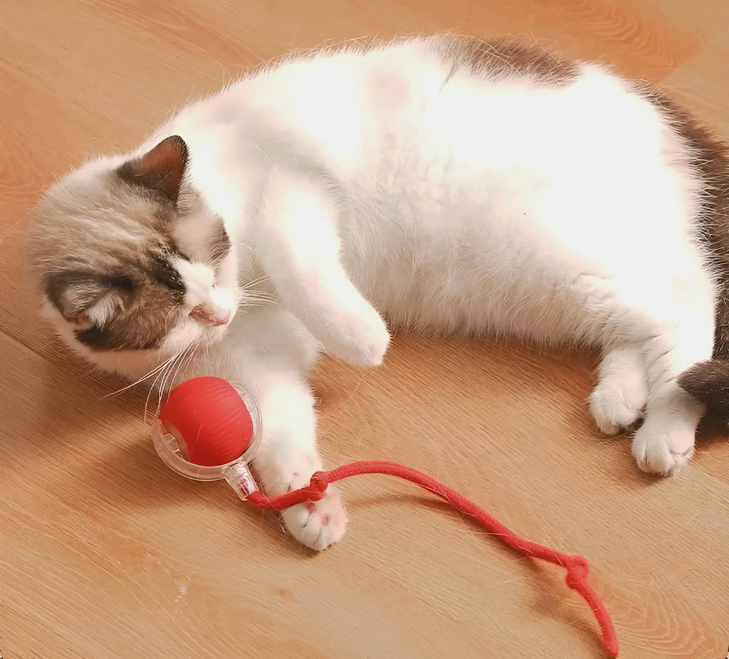 NuvaPaw Smart Rolling Cat Toy – Interactive Motion Ball for Cats