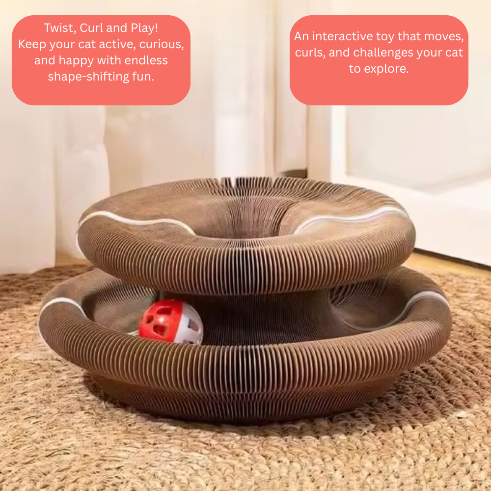 CatLoop Interactive Cat Toy – Mental & Physical Exercise Track & Scratcher