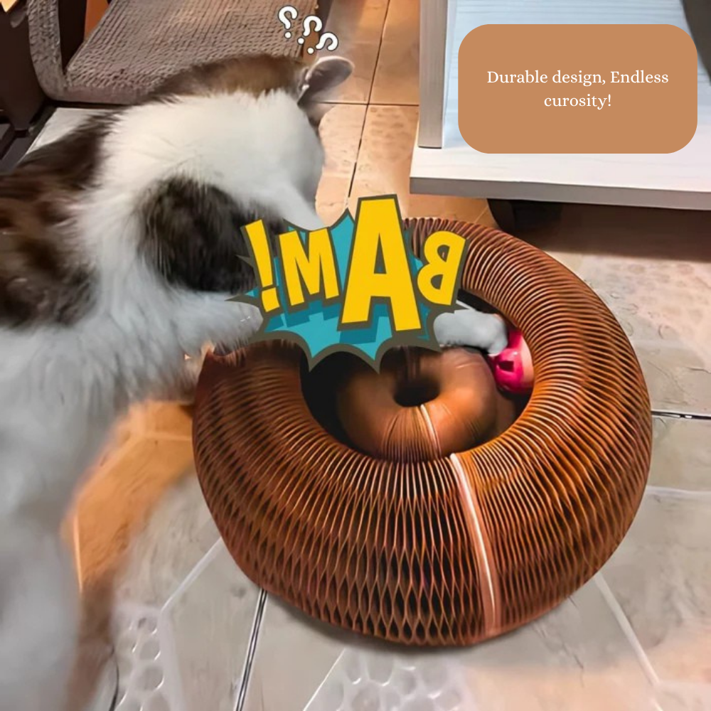 CatLoop Interactive Cat Toy – Mental & Physical Exercise Track & Scratcher