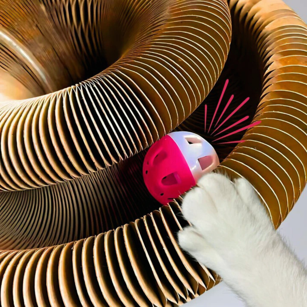 CatLoop Interactive Cat Toy – Mental & Physical Exercise Track & Scratcher