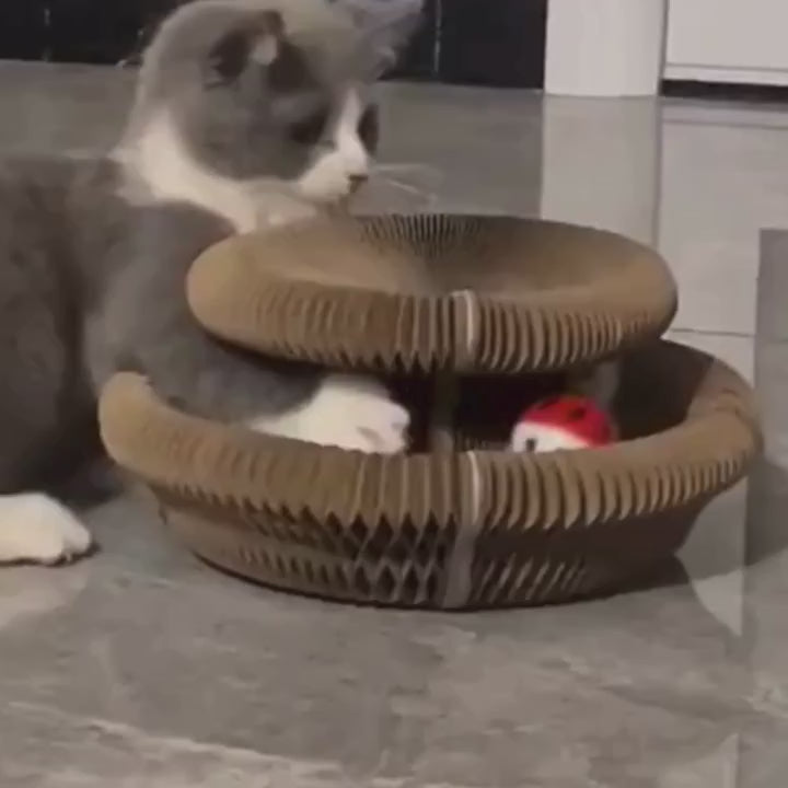 NuvaPaw CatLoop Interactive Cat Toy – Mental & Physical Exercise Track & Scratcher